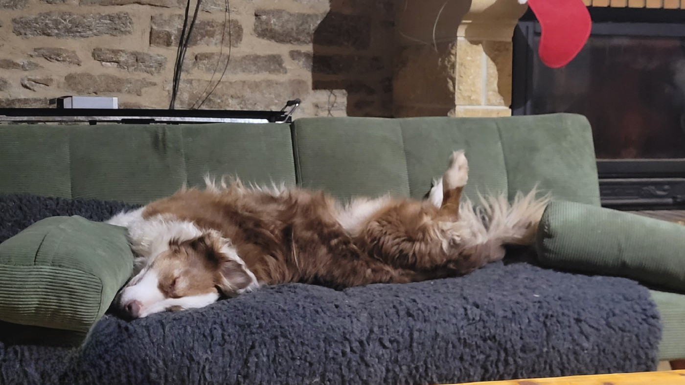 Nirvana la mamie extra