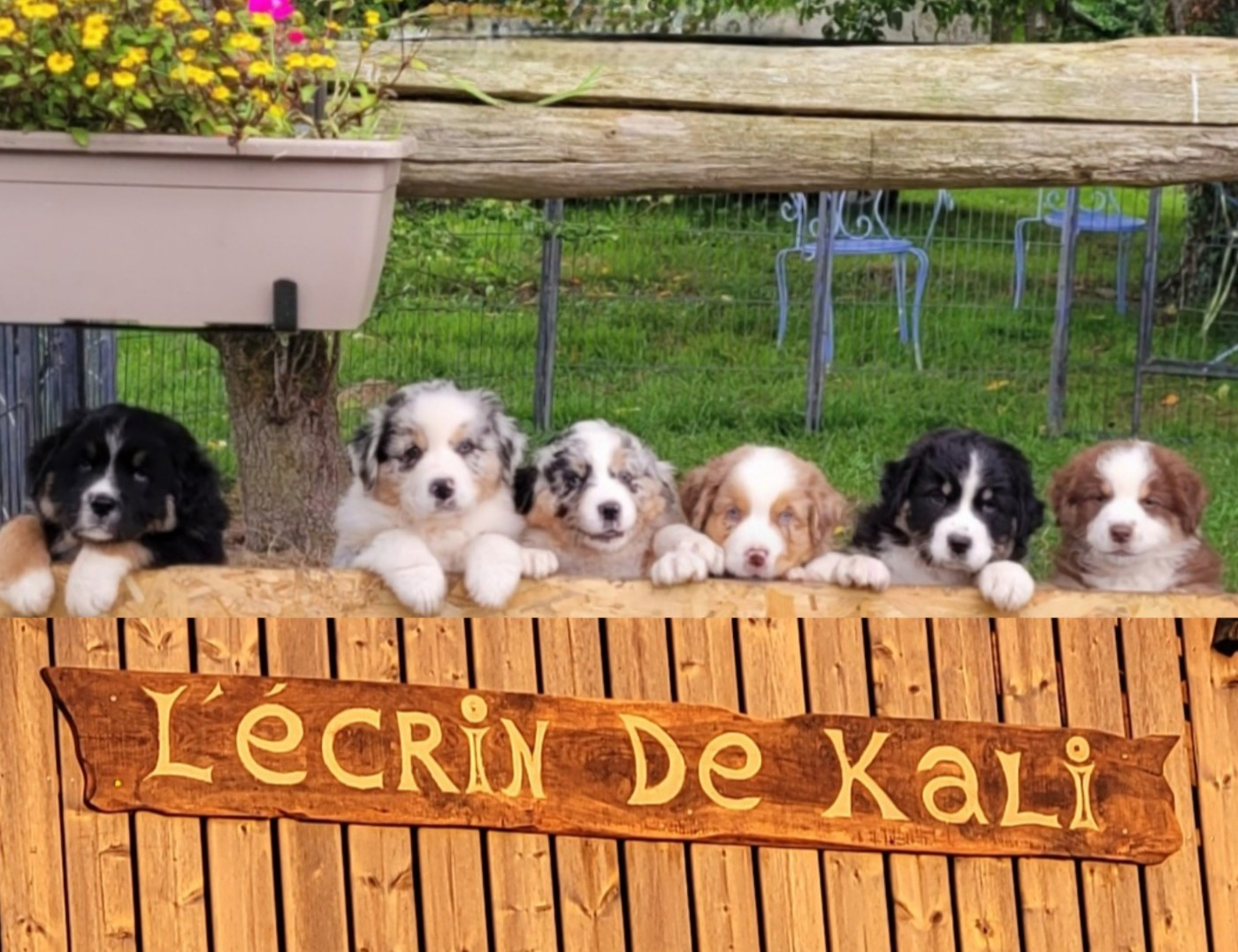 Du Nirvana De L’Ecrin De Kali